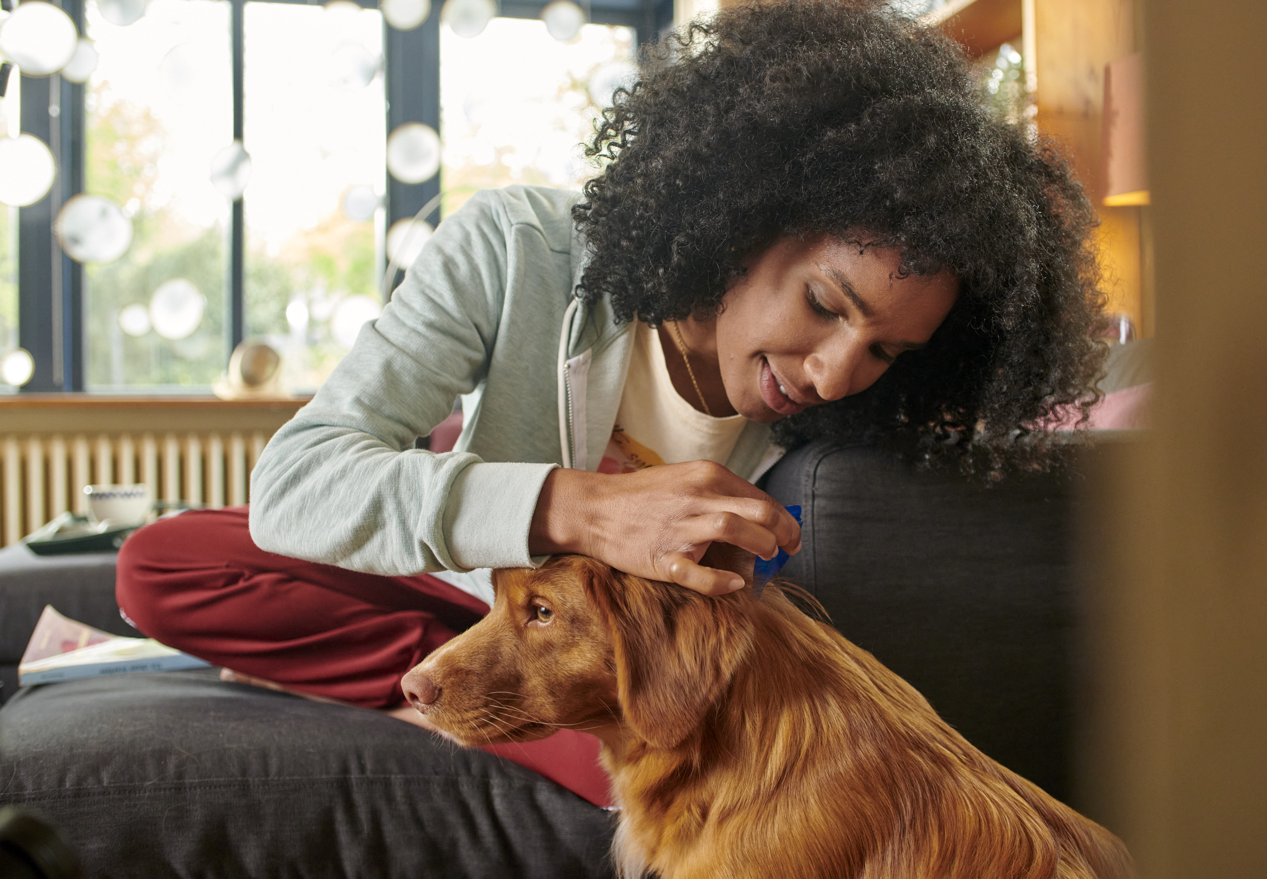 How do i know if my dog has fleas